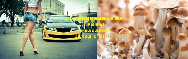 мдпв Армянск