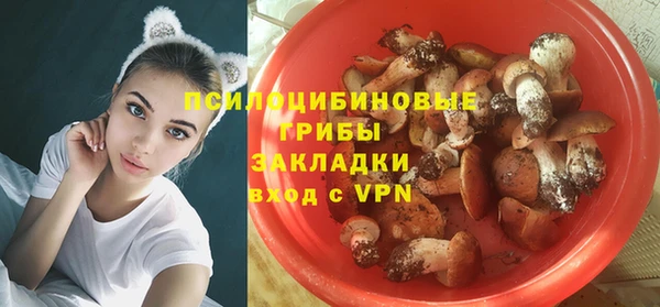 экстази Арсеньев