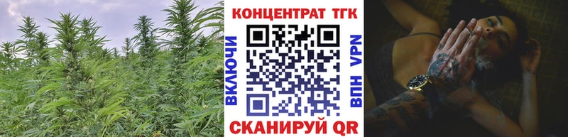 ТГК концентрат  где купить наркоту  Отрадный 
