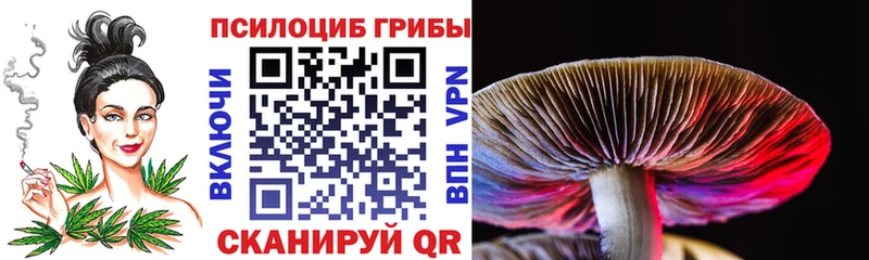 Псилоцибиновые грибы Magic Shrooms цена наркотик Отрадный